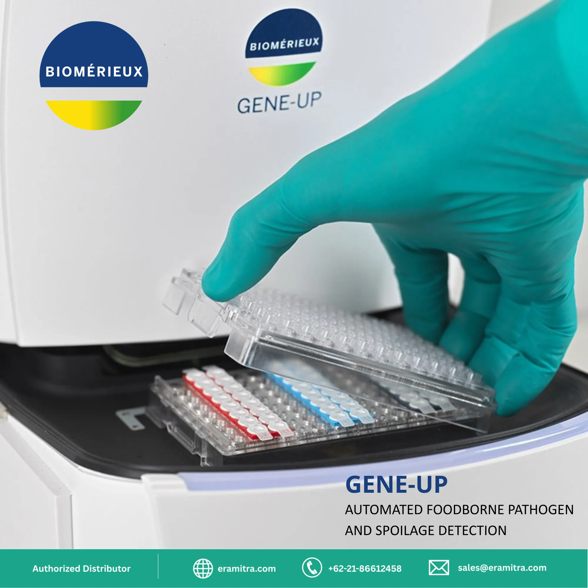 GENE-UP®
