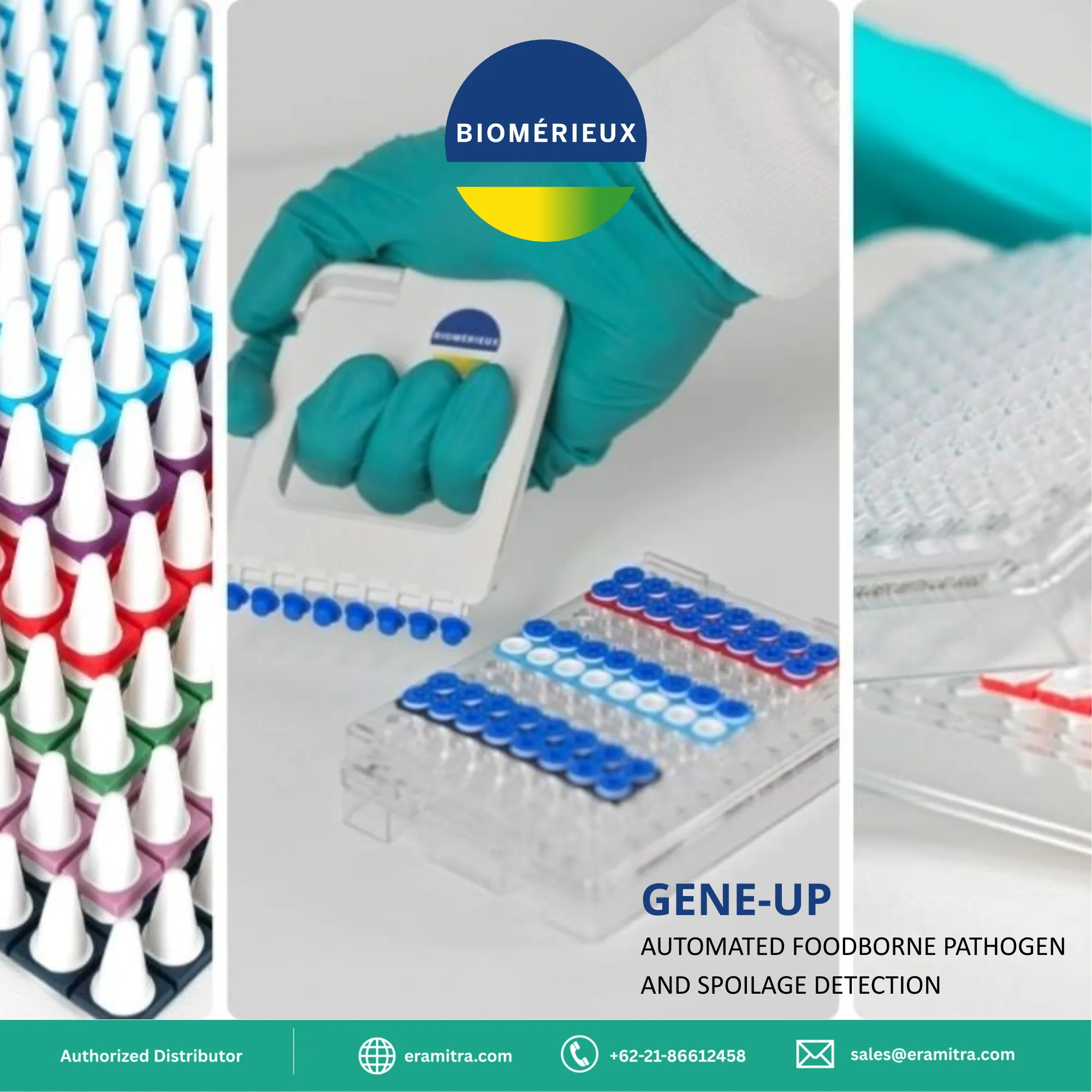 GENE-UP®