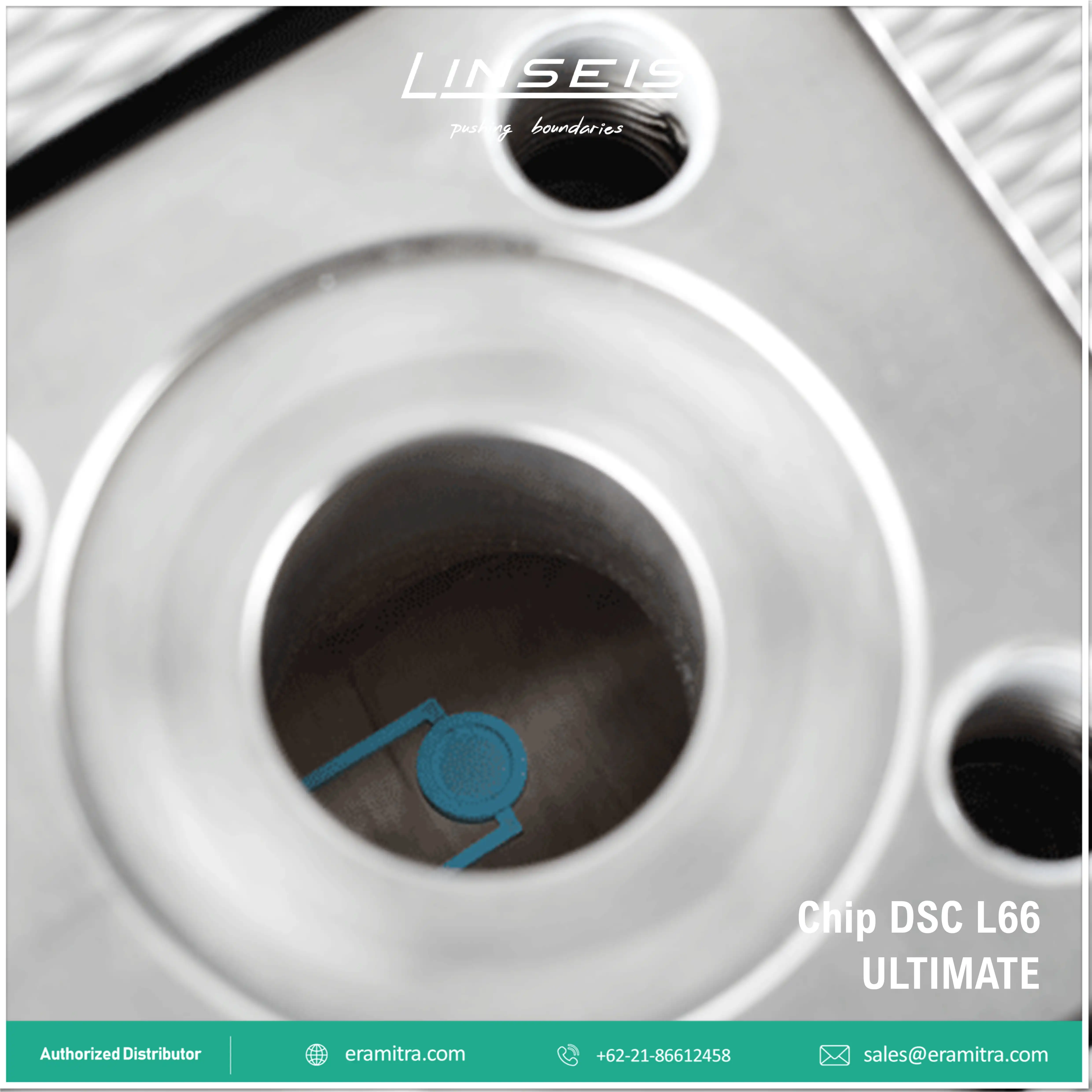 Chip DSC - L66 Ultimate