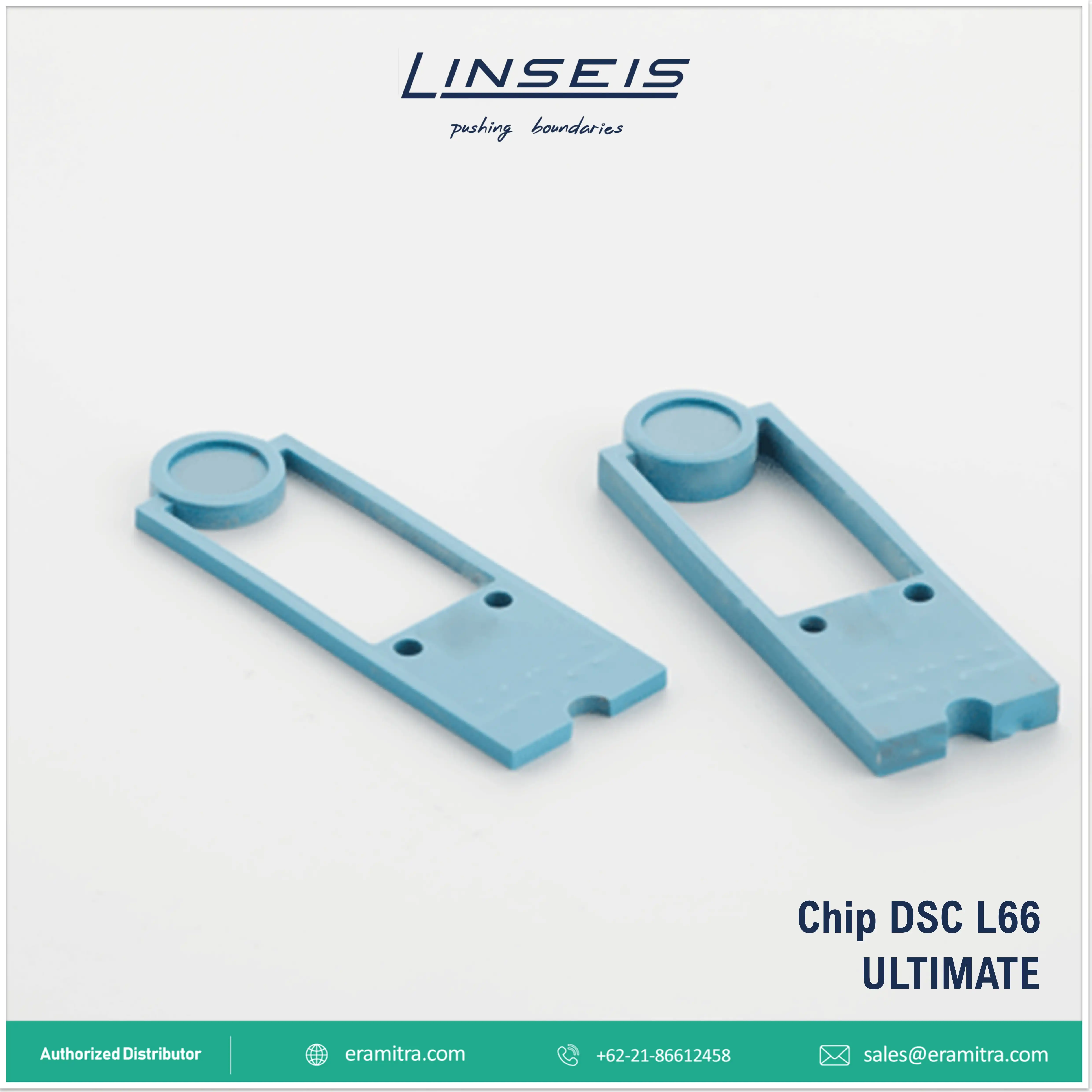 Chip DSC - L66 Ultimate
