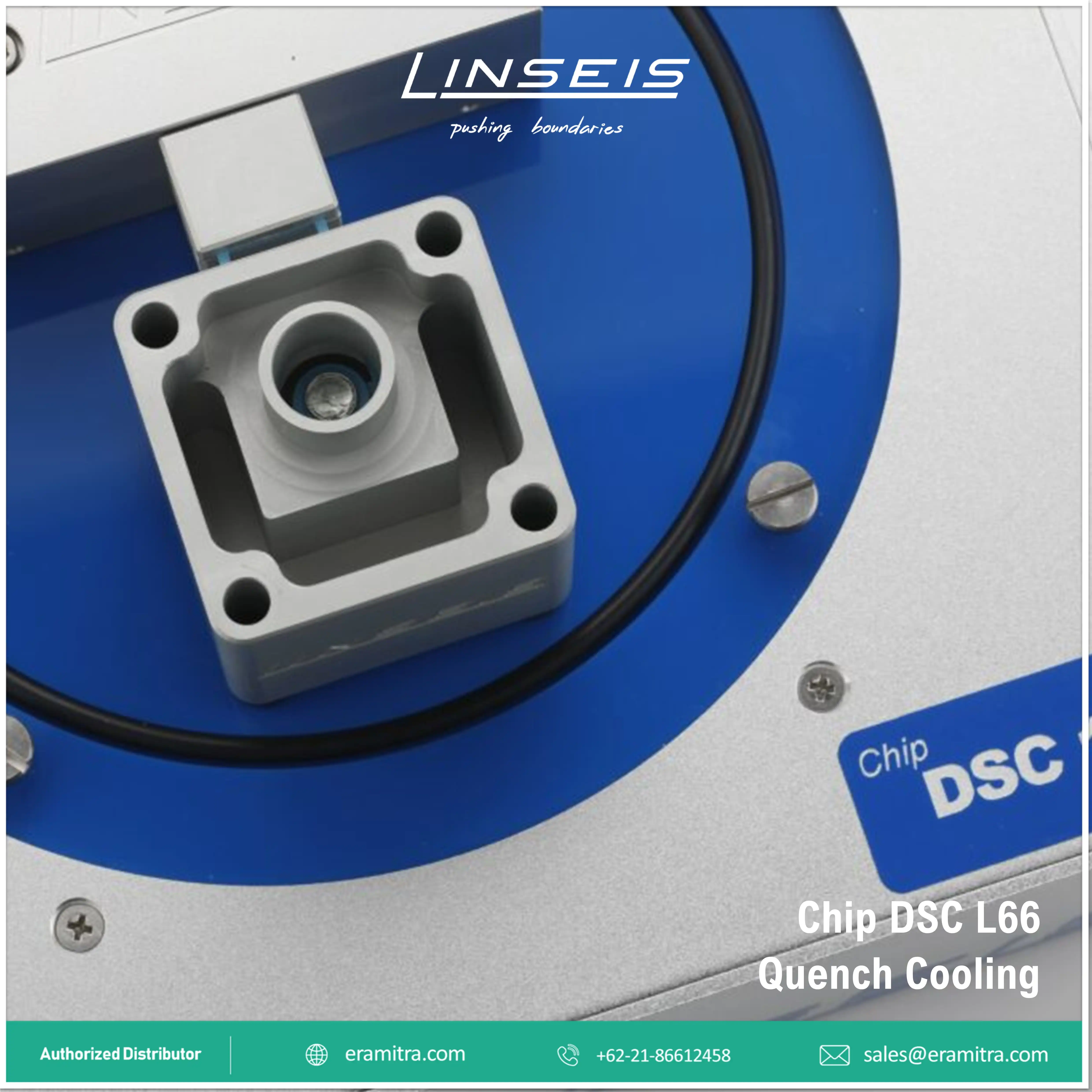 Chip DSC - L66 Basic