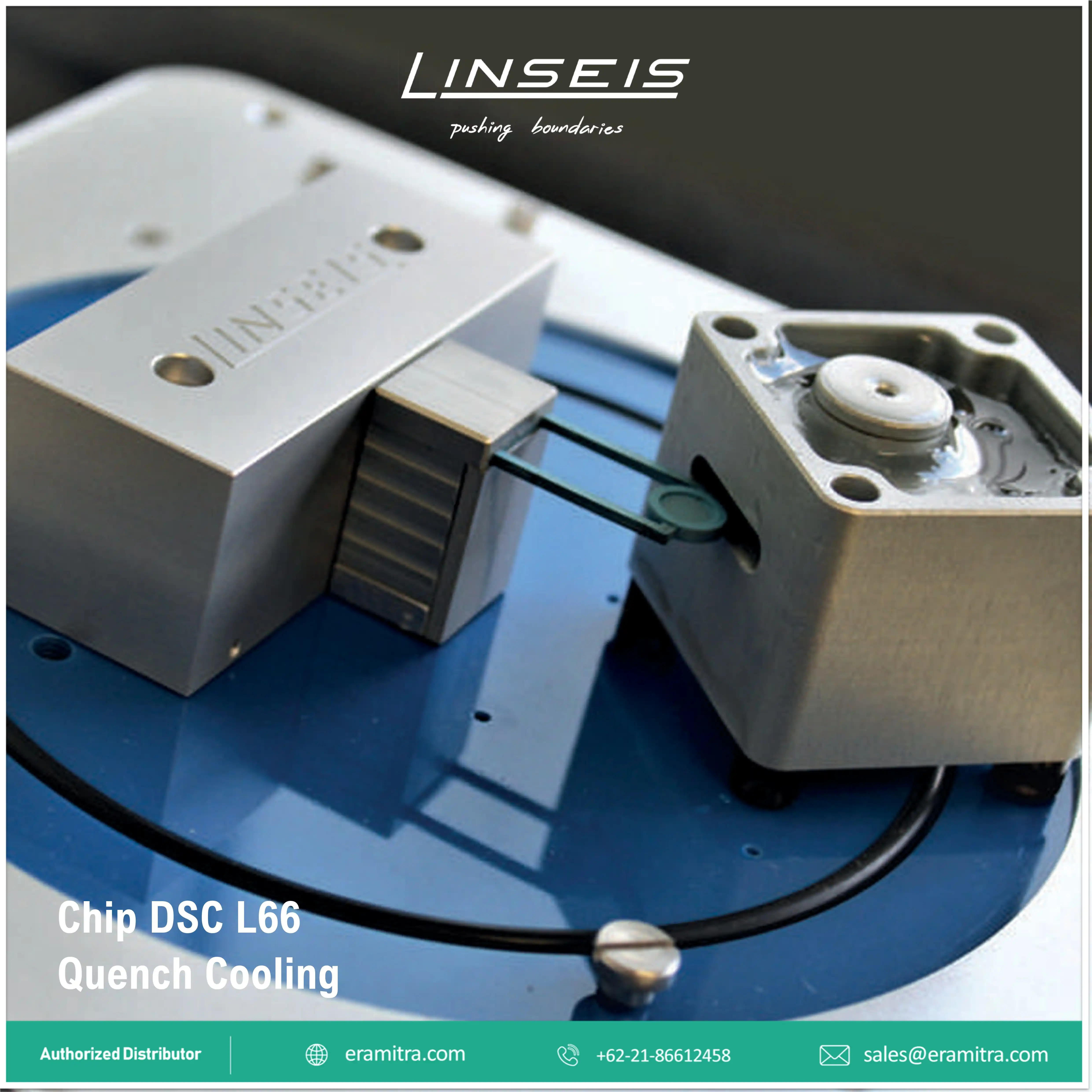 Chip DSC - L66 Basic