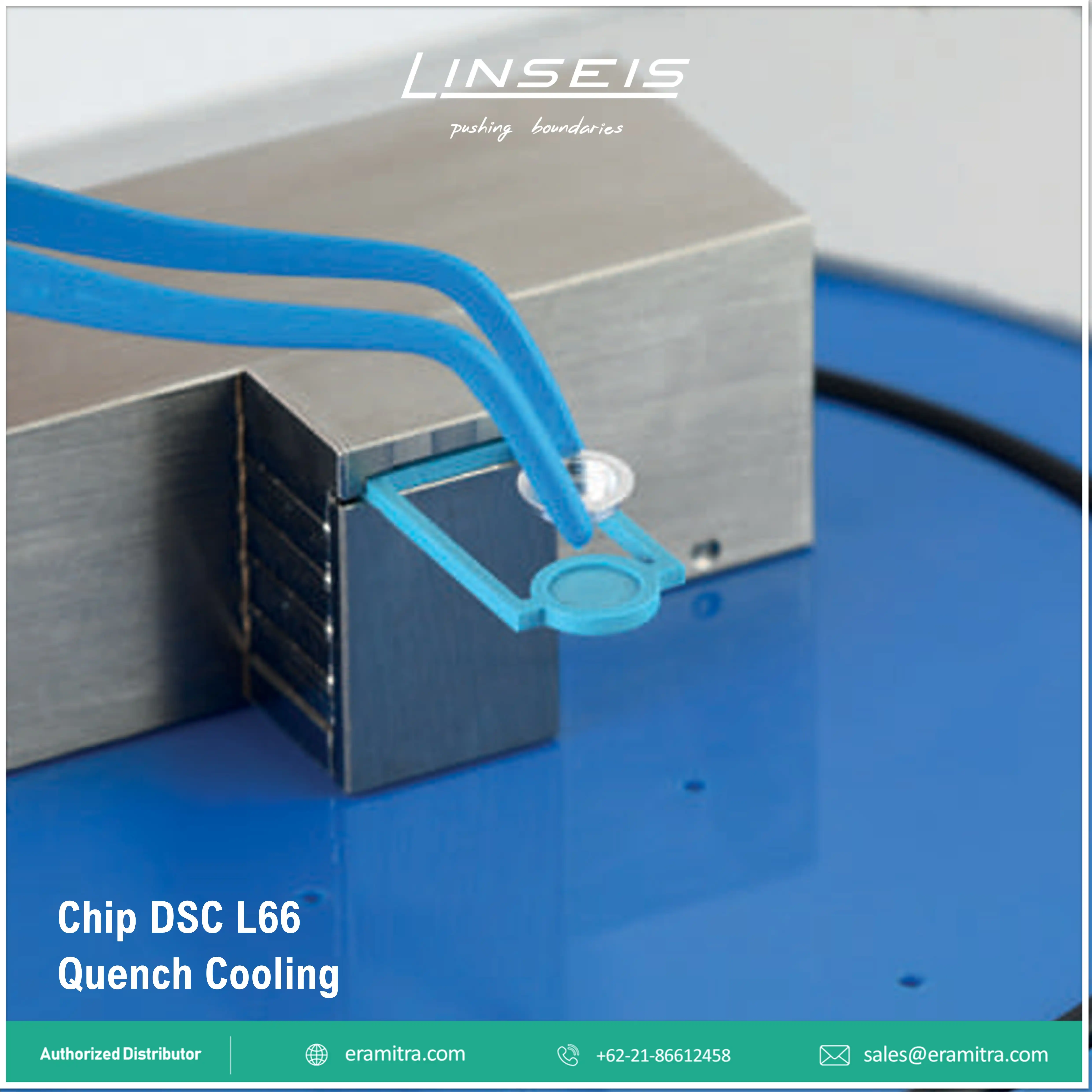 Chip DSC - L66 Basic