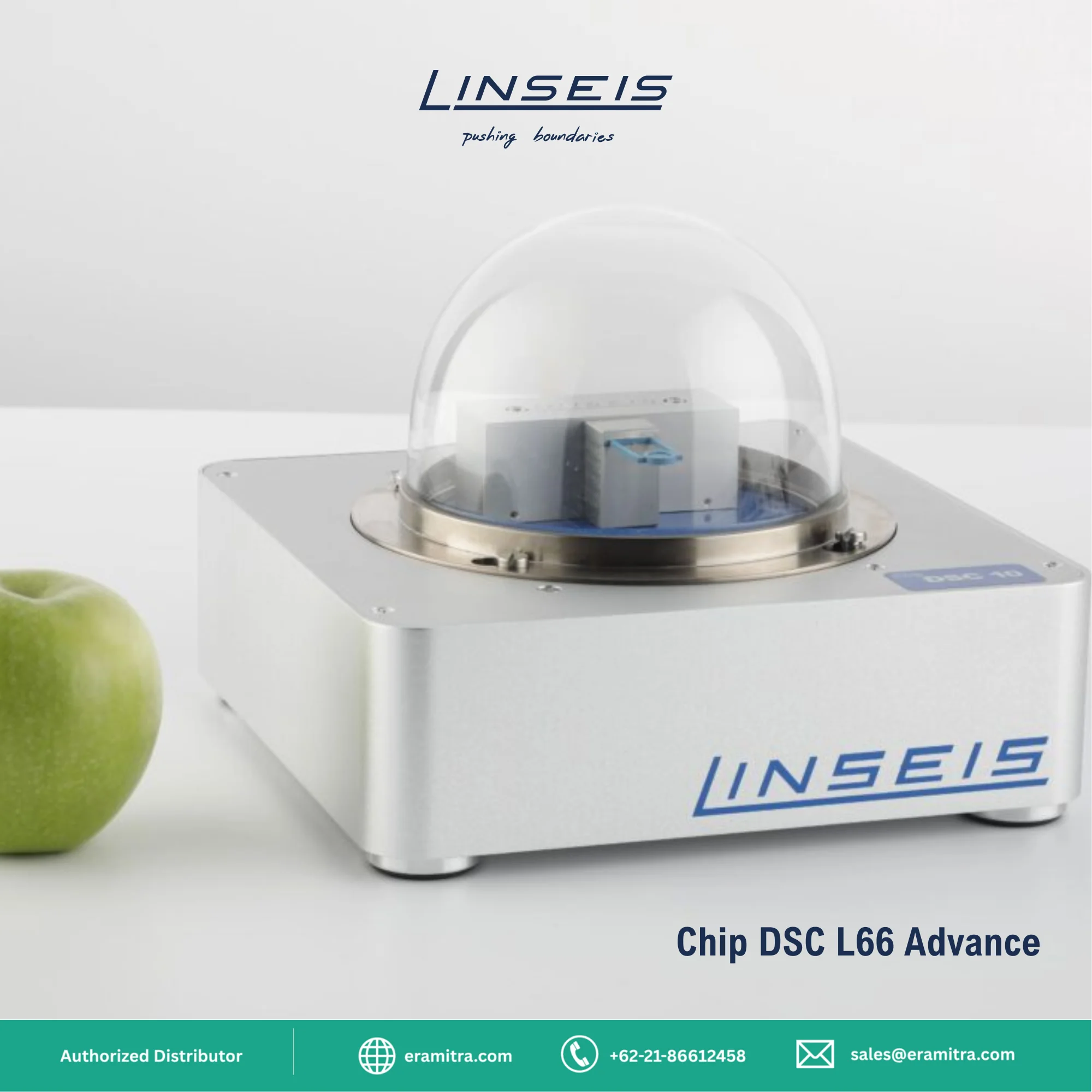 Chip DSC 10 - DSC L66 Advance